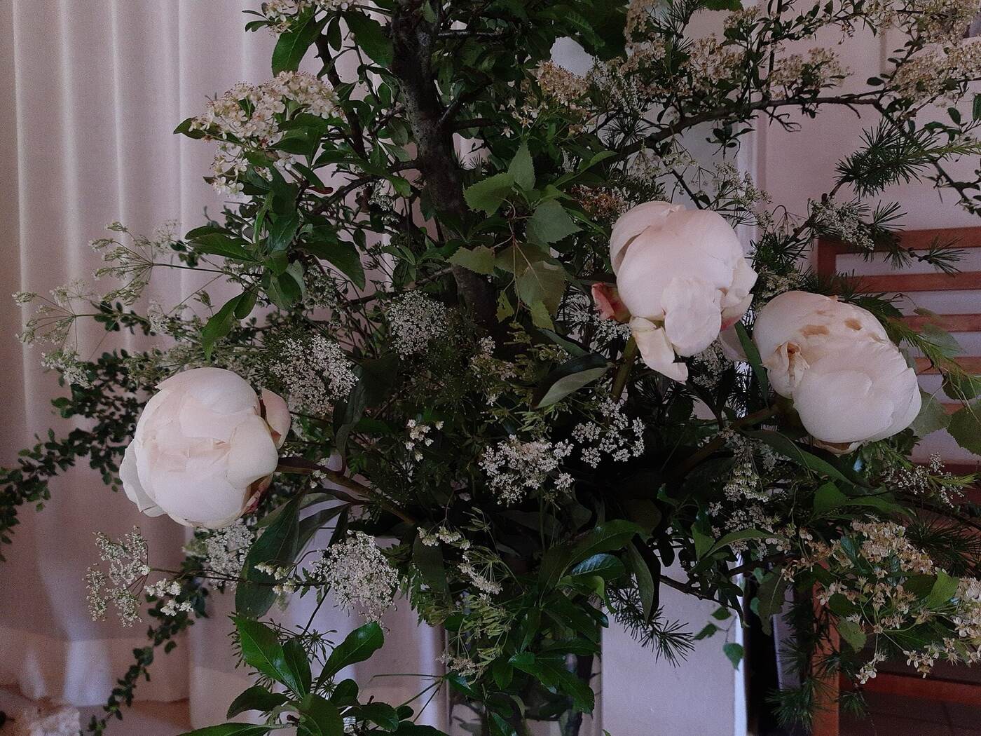 White peonies and cow parsley in a tall arrangement